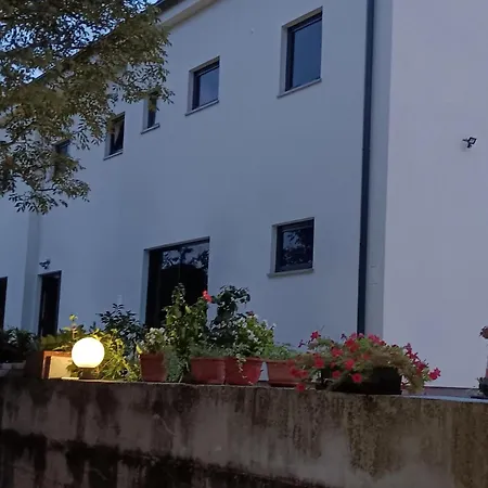 Apartment Iggy
