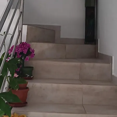 Iggy Appartement *