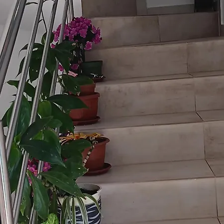 Iggy Appartement *