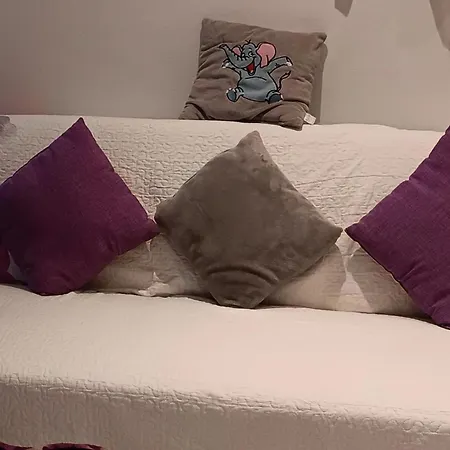 Appartement Iggy *